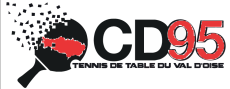 CD95TT